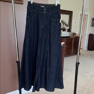 Pilcro Blue Flare Wide Leg Jeans
